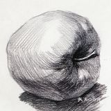 [礼花]素描那些事！