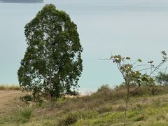 -露天矿生态公园