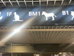 -虹桥综合交通枢纽-P6停车库