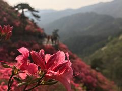 -木兰云雾山