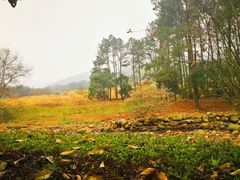-福清灵石山国家森林公园