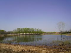 -东郊湿地公园