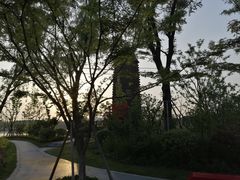 -昆山城市生态森林公园