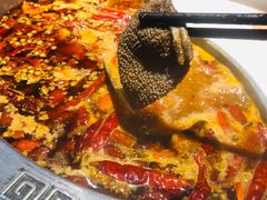 -销魂美蛙鱼头火锅(上海首店)