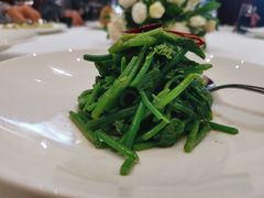 -西郊壹号