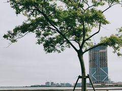 -滴水湖