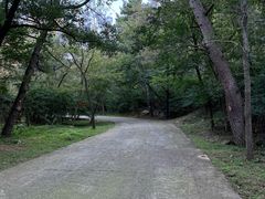 -金龙寺国家森林公园