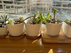 -Cafe Villa