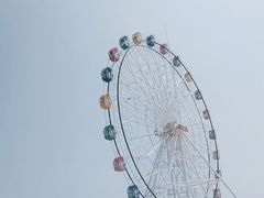 -碧海金沙
