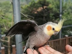 -燕塞湖鸟语林景区