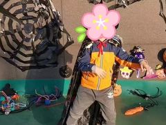 -乐融国际幼儿园(四季青校区)