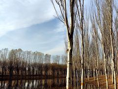 -东郊湿地公园