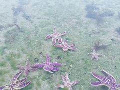 -日照灯塔风景区