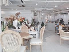 -共舞时光猫咖·狗咖(新街口店)