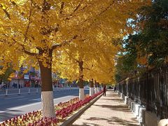 -辽东学院(南校区)