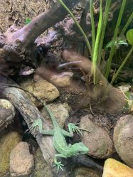 -酷嗒动物文化乐园(cutezoo西溪乐天城店)