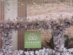 -洪湖家庭农场·团建·露营·会议