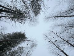 -明月山风景名胜区