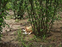 -燕郊植物园
