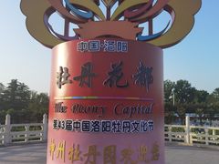 -神州牡丹园