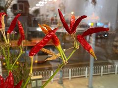 -开间茶馆·围炉煮茶