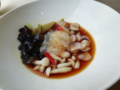 -食神鱼头佛跳墙(百子湾旗舰店)