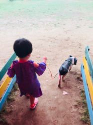 -上美四季动物农场