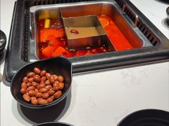 -鼎膳常火锅(华阳店)