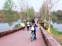 -白鹭湾湿地公园