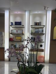 -雅曼妮spa美容养生