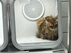 -BABIT巴比特宠物(MOMOPARK店)