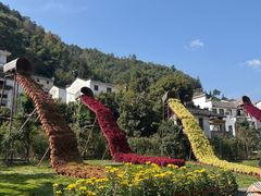 -新安江山水画廊风景区