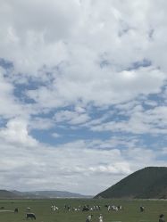 -纳帕海依拉草原