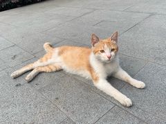 -中海环宇荟