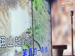 -温莎KTV(国贸店)