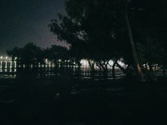 -宝安西湾红树林湿地公园