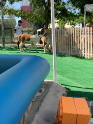 -萌宠亲子动物乐园(槐房万达店)