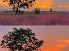 -汉长安城未央宫国家考古遗址公园