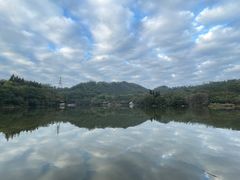 -深圳仙湖植物园