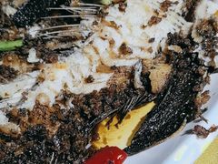 -高坎一品甲鱼庄(两河店)