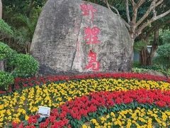 -野狸岛