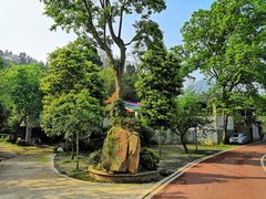 有一家春天里农家乐环境真的不错-樱桃山旅游景区