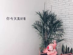 -有猫主题·治愈系猫咖(曾厝垵店)