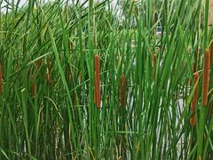 -中关村生命科学园