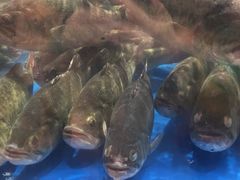 -盒马鲜生(莱蒙都会店)