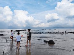 -硇洲岛旅游区