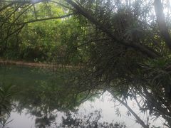 -花溪公园