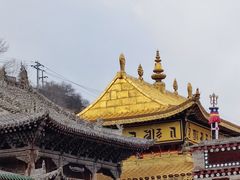 -塔尔寺