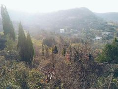 -青龙山生态文化旅游区(慈云寺)