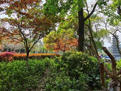 -桂林两江四湖景区